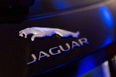 DG16128319_Jaguar_NICK